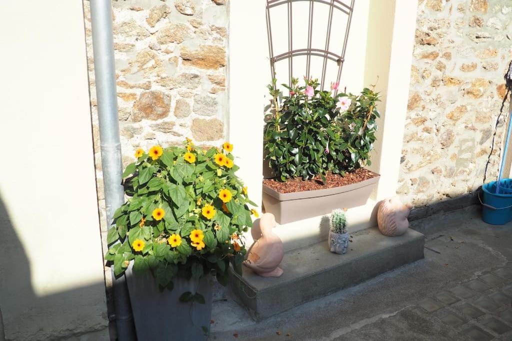 Appartement Duplex Et Terrasse A St Servan-St Malo Saint-Malo Buitenkant foto